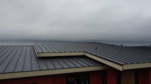 Best Green or Eco-Friendly Roofing Solutions  in Mayodan, NC